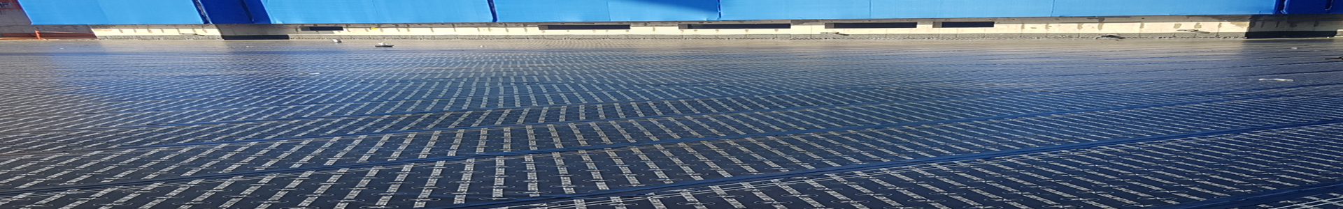 서프 비주얼 이미지